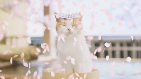 （「春すぎる」篇）