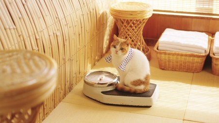 （「のんびりすぎる」篇）