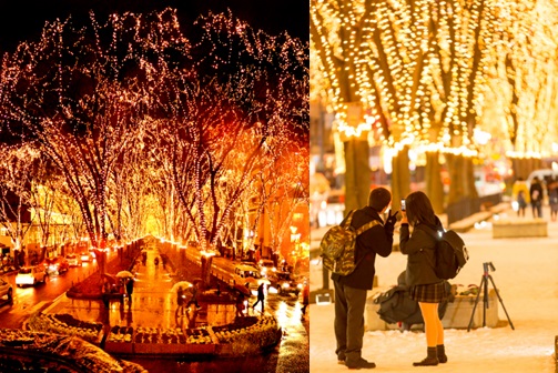 昨年度のSENDAI光のページェントの様子